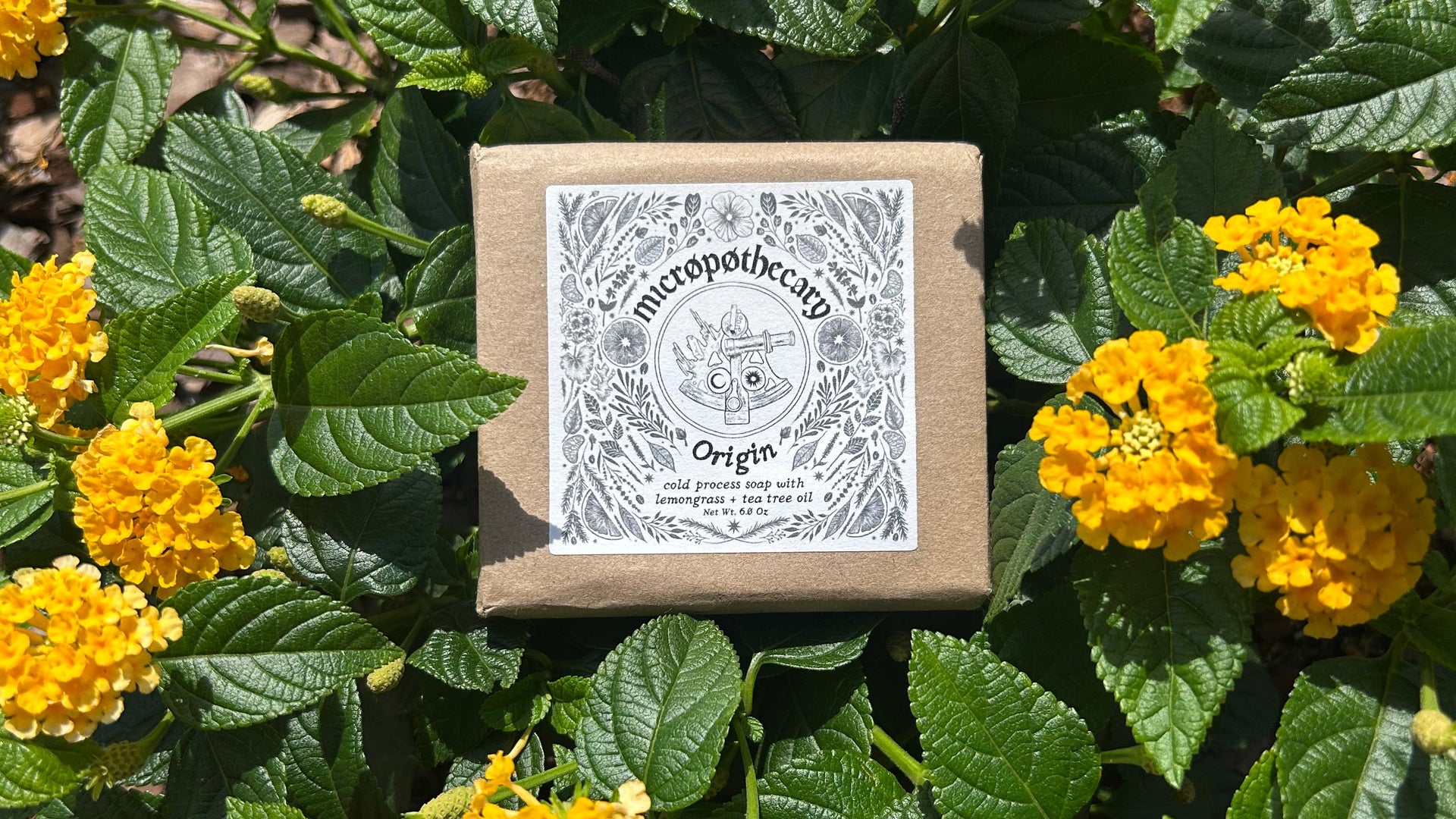 Micropothecary